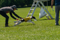 20240526-untitled-826