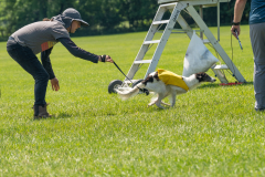 20240526-untitled-832