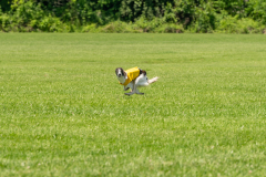 20240526-untitled-840