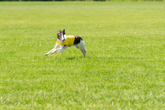 20240526-untitled-842