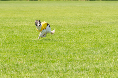 20240526-untitled-846