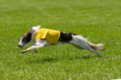 20240526-untitled-847