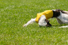 20240526-untitled-853