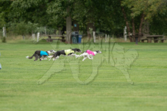 20260919-GVFRRC-AKC-LC-49