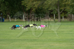 20260919-GVFRRC-AKC-LC-51
