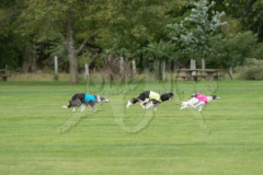 20260919-GVFRRC-AKC-LC-53