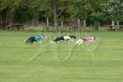 20260919-GVFRRC-AKC-LC-54