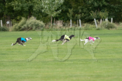20260919-GVFRRC-AKC-LC-58