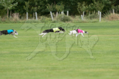 20260919-GVFRRC-AKC-LC-59