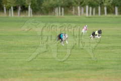20260919-GVFRRC-AKC-LC-63