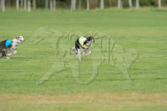 20260919-GVFRRC-AKC-LC-66