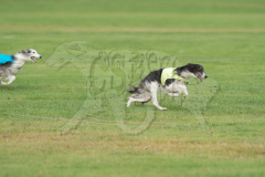 20260919-GVFRRC-AKC-LC-67
