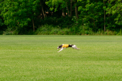20240526-MemDayWknd-102