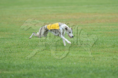 20260920-GVFRRC-AKC-LC-254