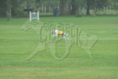 20260920-GVFRRC-AKC-LC-259