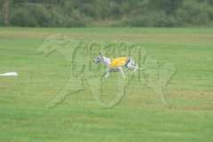 20260920-GVFRRC-AKC-LC-273