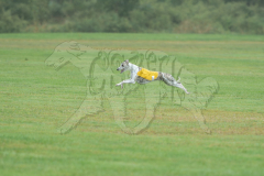 20260920-GVFRRC-AKC-LC-276
