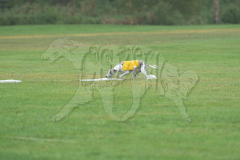 20260920-GVFRRC-AKC-LC-277