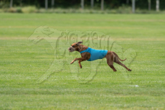 20260919-GVFRRC-AKC-LC-354