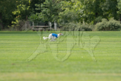 20260919-GVFRRC-AKC-LC-368