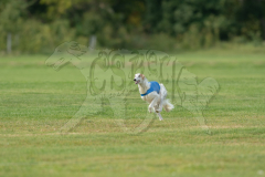 20260919-GVFRRC-AKC-LC-371