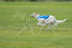 20260919-GVFRRC-AKC-LC-375