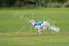 20260919-GVFRRC-AKC-LC-376