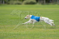 20260919-GVFRRC-AKC-LC-384