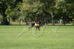 20260919-GVFRRC-AKC-LC-190