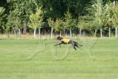 20260919-GVFRRC-AKC-LC-192