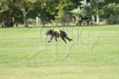 20260919-GVFRRC-AKC-LC-194