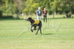 20260919-GVFRRC-AKC-LC-195