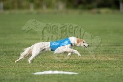 20260919-GVFRRC-AKC-LC-209