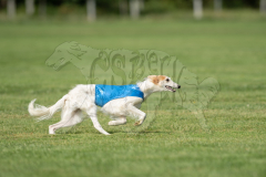 20260919-GVFRRC-AKC-LC-210