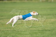 20260919-GVFRRC-AKC-LC-212