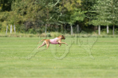 20260919-GVFRRC-AKC-LC-213