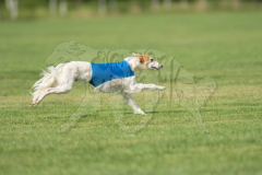 20260919-GVFRRC-AKC-LC-214