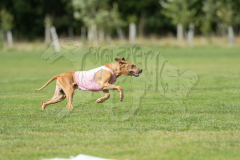 20260919-GVFRRC-AKC-LC-217