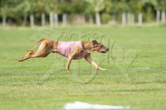 20260919-GVFRRC-AKC-LC-219