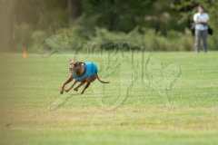 20260919-GVFRRC-AKC-LC-226