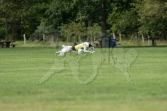 20260919-GVFRRC-AKC-LC-234