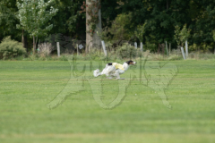 20260919-GVFRRC-AKC-LC-237