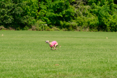 20240526-MemDayWknd-248