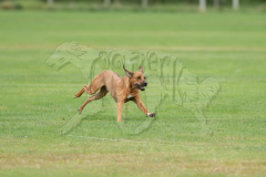 20260919-GVFRRC-AKC-LC-2