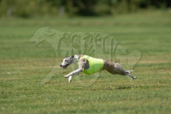 20260919-GVFRRC-AKC-LC-325