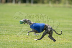 20260919-GVFRRC-AKC-LC-329