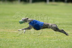 20260919-GVFRRC-AKC-LC-335