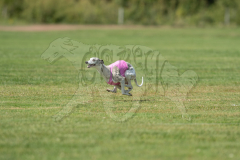 20260919-GVFRRC-AKC-LC-337