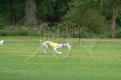 20260920-GVFRRC-AKC-LC-184