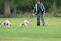 20260920-GVFRRC-AKC-LC-193
